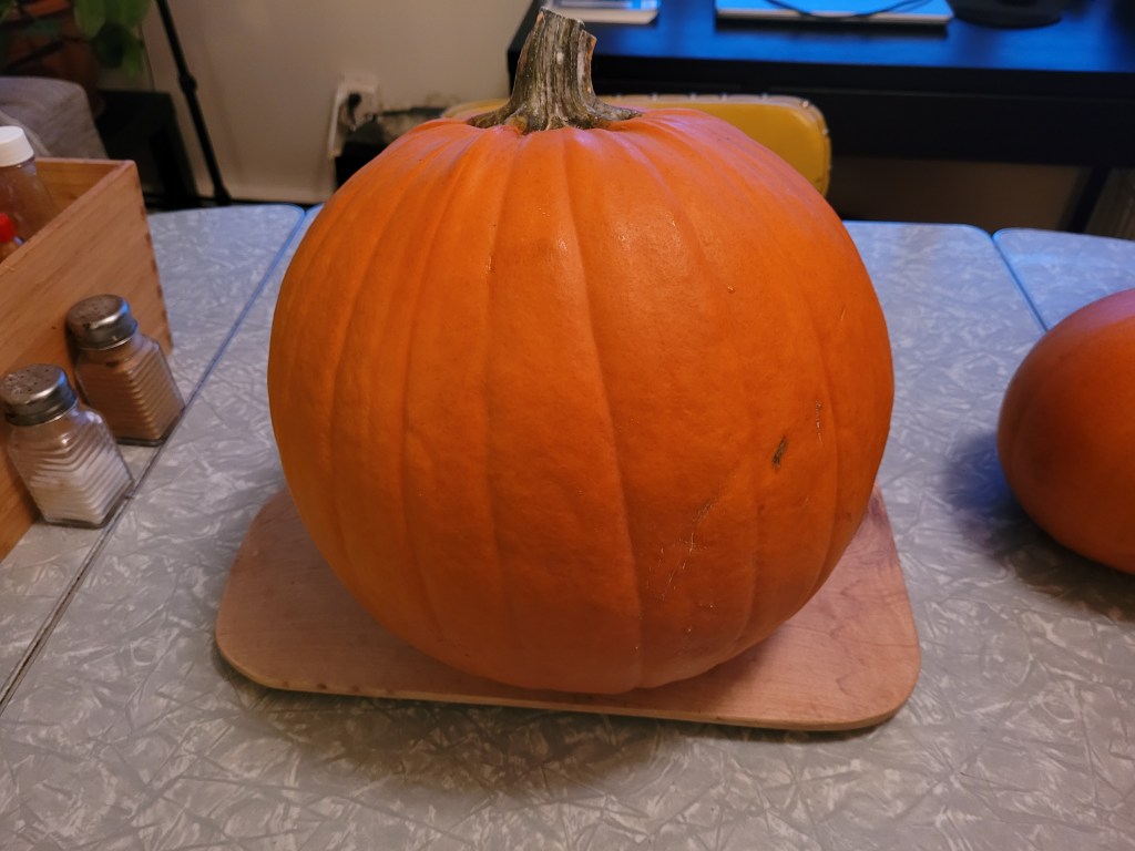 WordPress prompt.  Also, another video on another auspicious&nbsp;day.